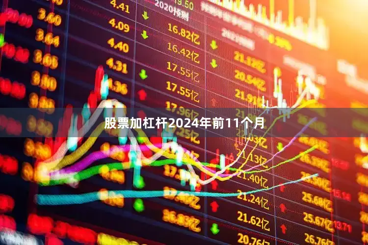 股票加杠杆2024年前11个月