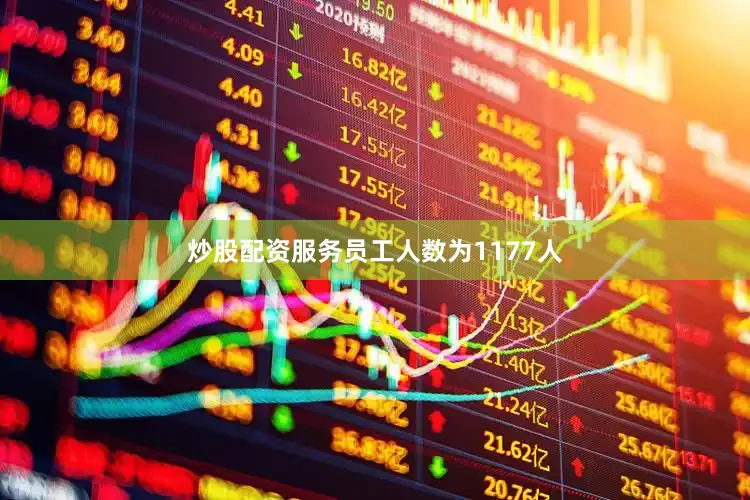 炒股配资服务员工人数为1177人