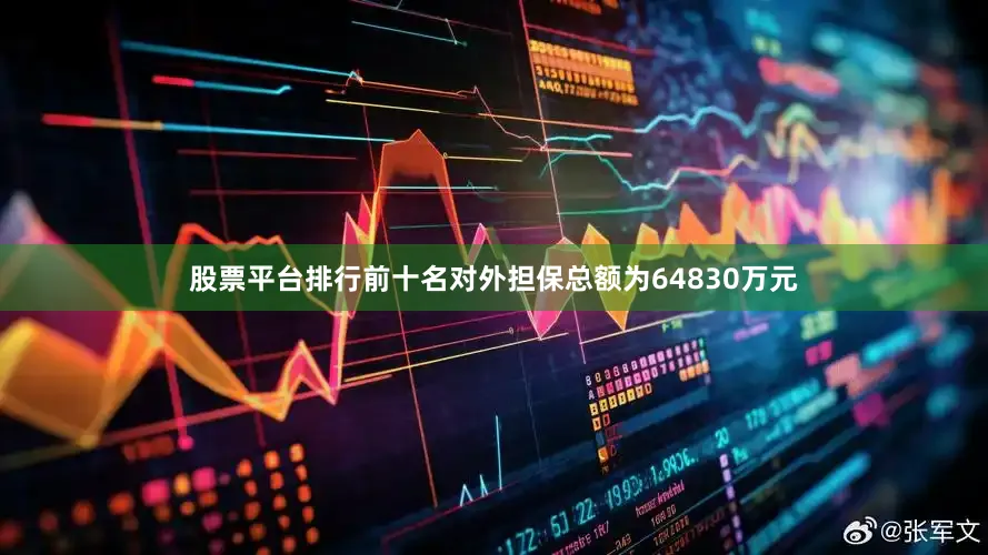 股票平台排行前十名对外担保总额为64830万元