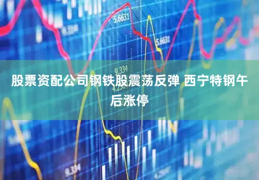 股票资配公司钢铁股震荡反弹 西宁特钢午后涨停
