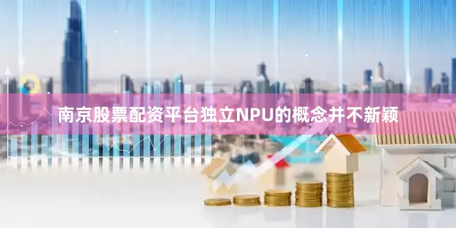 南京股票配资平台独立NPU的概念并不新颖