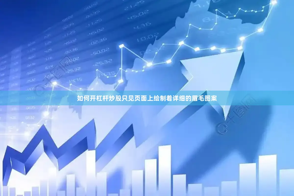 如何开杠杆炒股只见页面上绘制着详细的眉毛图案