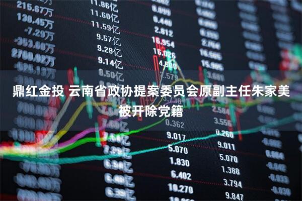 鼎红金投 云南省政协提案委员会原副主任朱家美被开除党籍