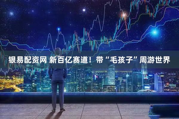 银易配资网 新百亿赛道！带“毛孩子”周游世界