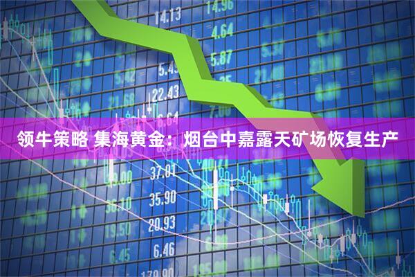 领牛策略 集海黄金：烟台中嘉露天矿场恢复生产