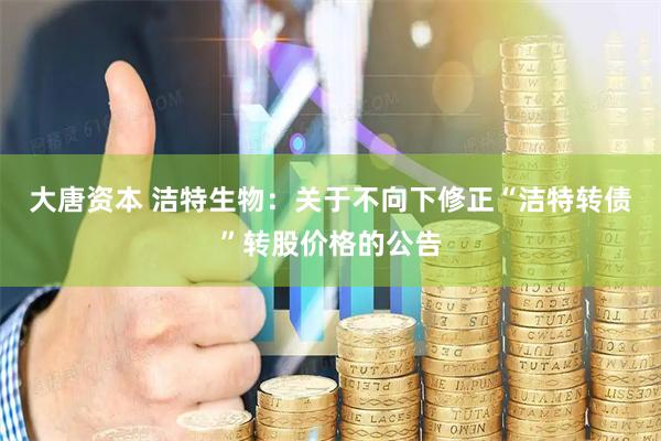 大唐资本 洁特生物：关于不向下修正“洁特转债”转股价格的公告