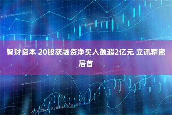 智财资本 20股获融资净买入额超2亿元 立讯精密居首