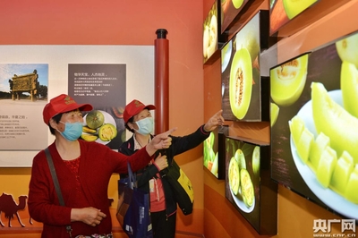 2020年西安阎良甜瓜产业文化节启动
